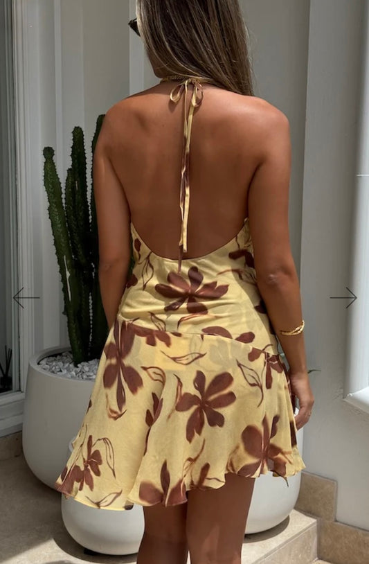 Benni Harlow mini dress